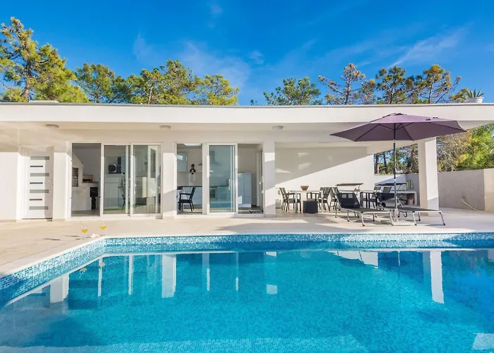 Olujic 1 By Interhome Vir